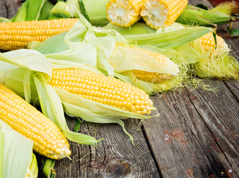 Анализ сорной примеси в кукурузе по ГОСТ