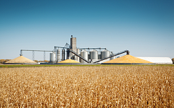 Анализ влажности пшеницы по ГОСТ