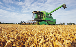 Анализ натуры пшеницы по ISO