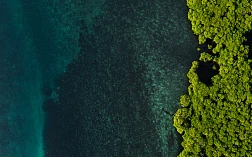 Изображение пейзажа мангрового острова