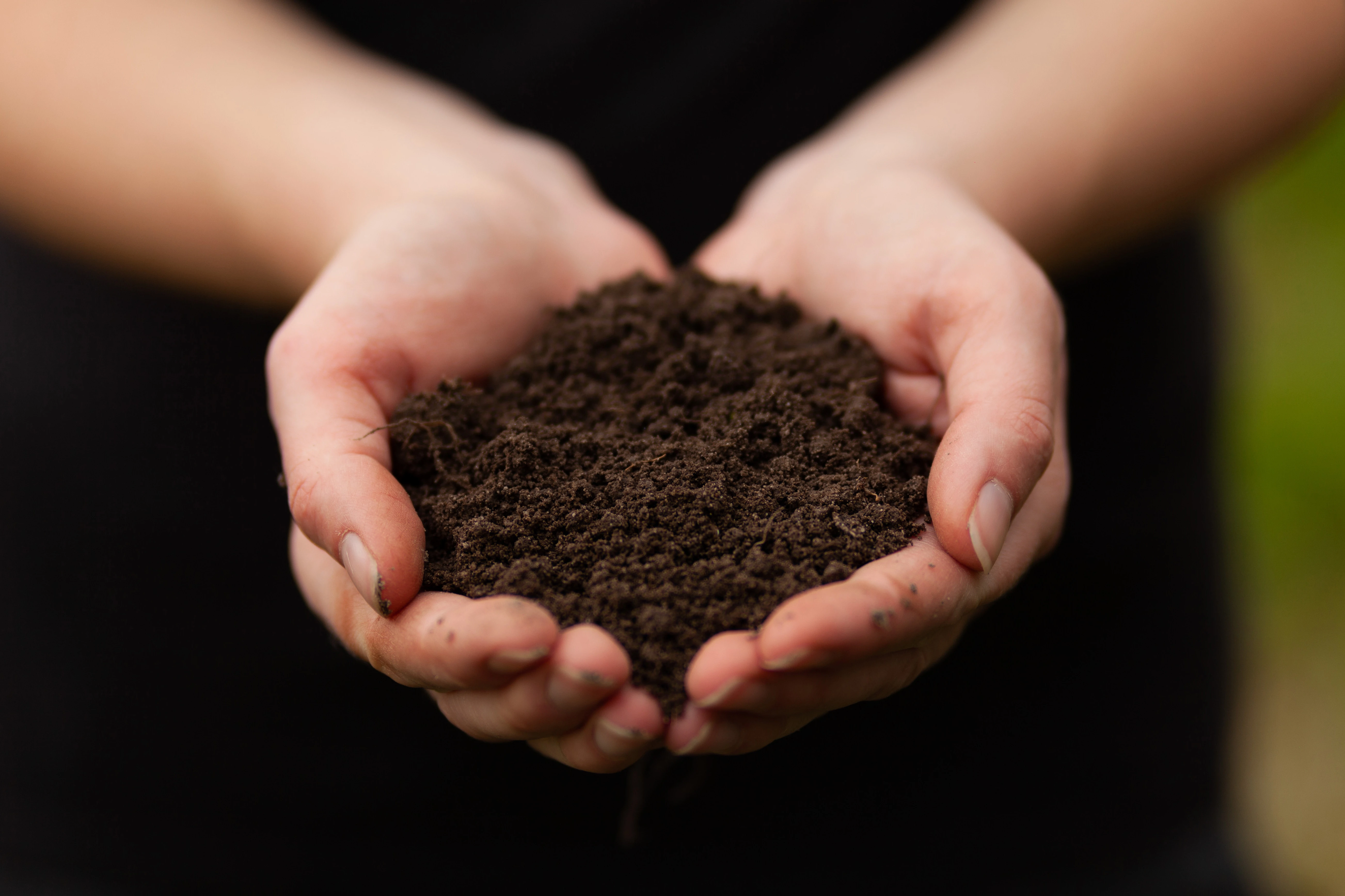 Влажная черная почва в руках