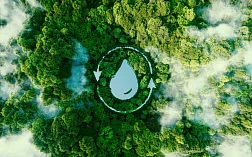 Изображение формы капли воды в лесу