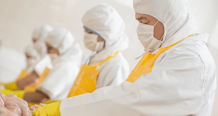 Сотрудники на пищевом предприятии